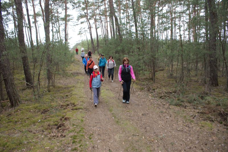 4 Rajd NW Active Fit Pleszew Traugutta 30